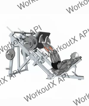 Calf Raise Leg Press Machine exercise demonstration
