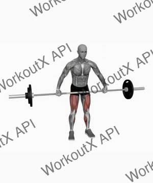 Barbell Snatch Deadlift Wide Grip exercise demonstration