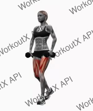 Dumbbell Reverse Lunge on the Spot exercise demonstration