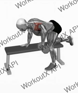 Dumbbell Rear Delt Row exercise demonstration