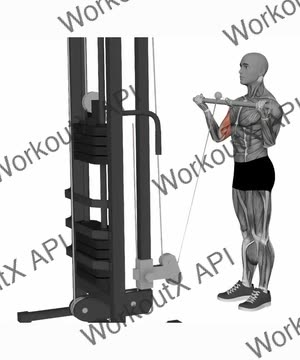 Biceps Curl Cable Wide Grip exercise demonstration