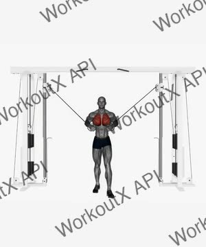 Cable Machine High to Low exercise demonstration