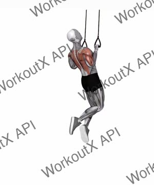 Suspension Trainer With Grips Pull-Up exercise demonstration