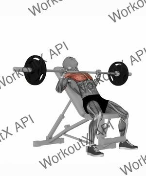 Barbell Bench Press Incline exercise demonstration