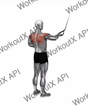Suspension Trainer With Grips Single Arm Rear Delt Row exercise demonstration
