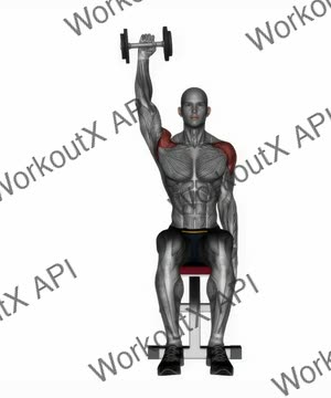 Seated Dumbbell One Arm Shoulder Press exercise demonstration