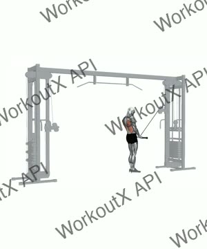 Cable Lat Prayer exercise demonstration