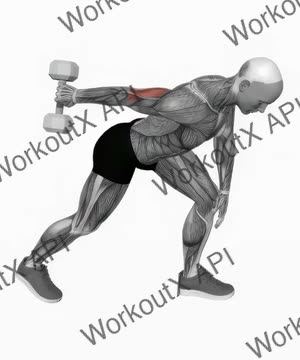 Dumbbell One Arm Kickback exercise demonstration