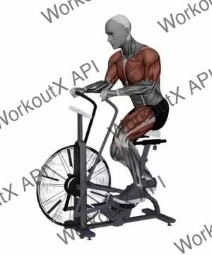 Assault Airbike Fast Speed exercise demonstration