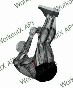 Dumbbell Suitcase Crunch exercise demonstration