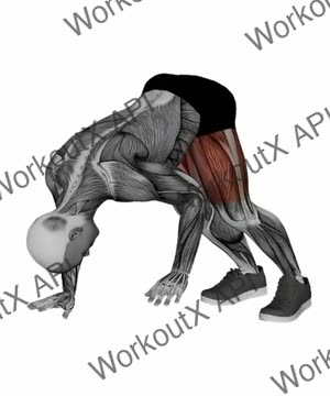 Pike Alternating Opposite Hip Taps exercise demonstration