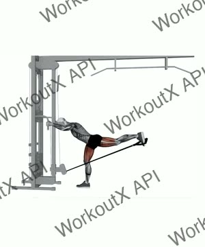 Cable Individual Glute Kickbacks exercise demonstration