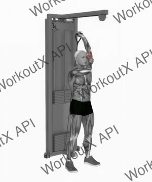 Cable Alternate Triceps Extension exercise demonstration