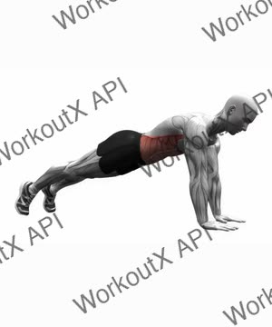 High Plank exercise demonstration