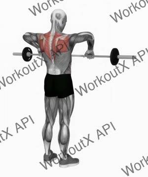 Barbell Upright Row exercise demonstration