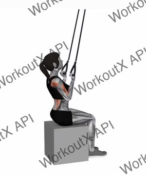Band Fixed Back Underhand Pulldown exercise demonstration
