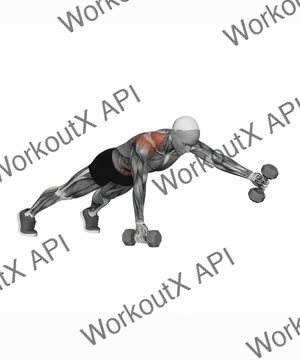 Plank Iytw exercise demonstration