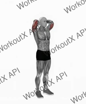 Bodyweight Overhead Triceps Extension exercise demonstration