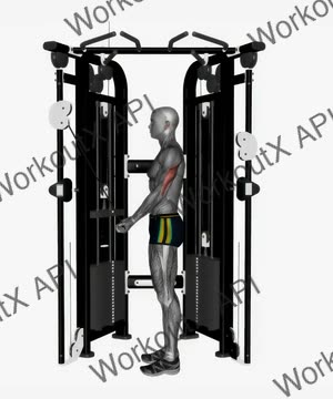 Cable Reverse Grip Triceps Push Down Straight Bar on Crossover exercise demonstration