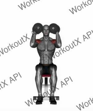 Dumbbell Seated Shoulder Press Parallel Grip exercise demonstration
