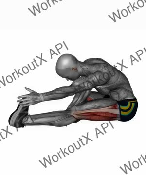 Seated Single Leg Hamstring Stretch exercise demonstration