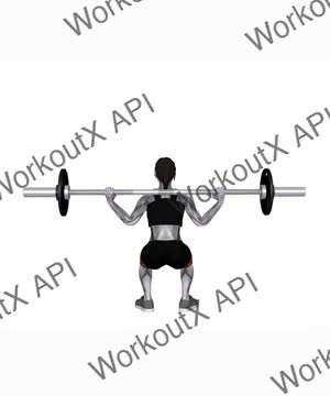 Barbell Full Squat(back) exercise demonstration
