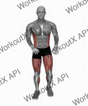 Bodyweight Knee to Hand Tap exercise demonstration