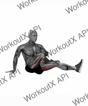 Seated Figure Four With Twist Glute Stretch exercise demonstration