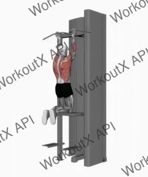 Assisted Close Grip Underhand Chin Up exercise demonstration
