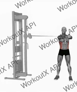 Cable Twist exercise demonstration