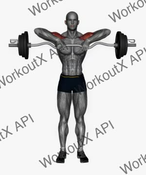Upright Row Ez Bar exercise demonstration