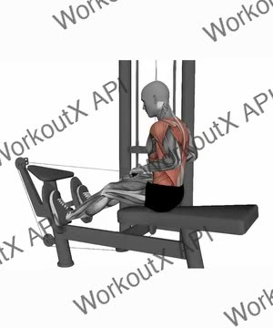 Straight Bar Cable Row Normal Grip exercise demonstration