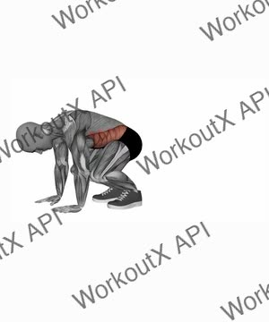 Plank Knee Tucks exercise demonstration