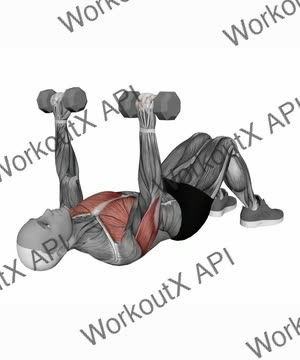 Dumbbell Lying on Floor Chest Press exercise demonstration
