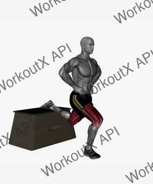 Bulgarian Split Squat Bodyweight Right exercise demonstration