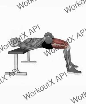 Dumbbell Hip Thrust exercise demonstration