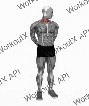 Extension and Inclination Neck Stretch exercise demonstration