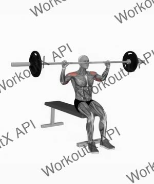 Barbell Seated Overhead Press exercise demonstration