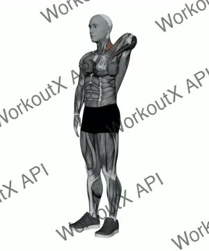 Dumbbell Single Arm Upright Row exercise demonstration