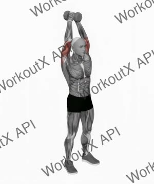 Dumbbell Standing Triceps Extension exercise demonstration