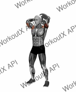 Plate Overhead Tricep Extension exercise demonstration