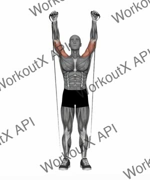Biceps Curl to Shoulder Press Resistance Band exercise demonstration