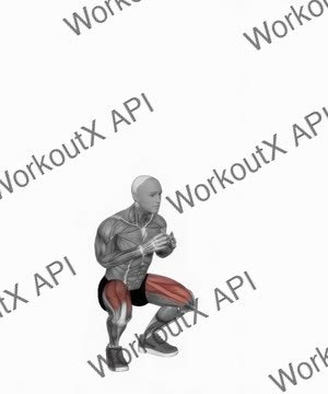 Double Jump Squat exercise demonstration
