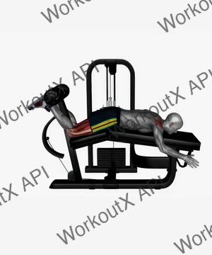 Lying Leg Curl Machine exercise demonstration
