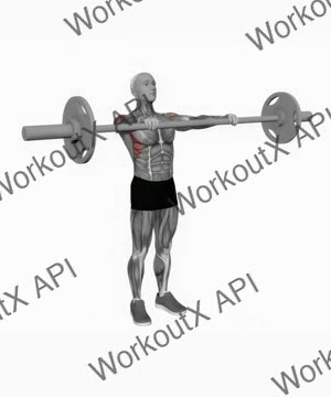 Barbell Front Raise exercise demonstration