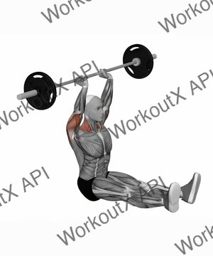 Barbell Z Press exercise demonstration
