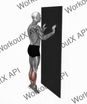 Calf Raise With Wall Support exercise demonstration