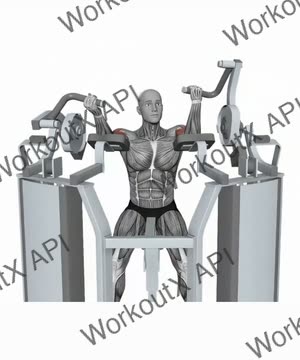 Hammer Strength Mts Iso-Lateral Biceps Curl Single Arm exercise demonstration