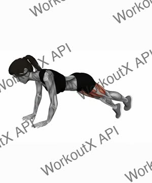 Alternate Single Leg Raise Plank exercise demonstration