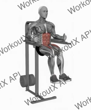 Captains Chair Leg Raise exercise demonstration